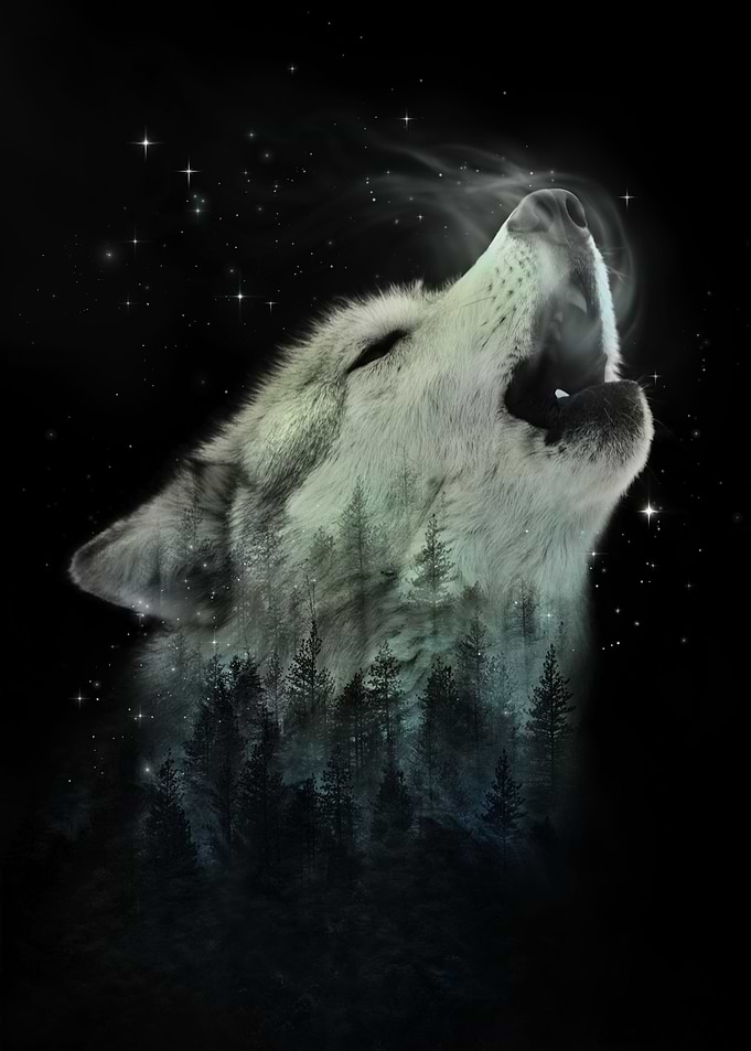 Call of the Wild