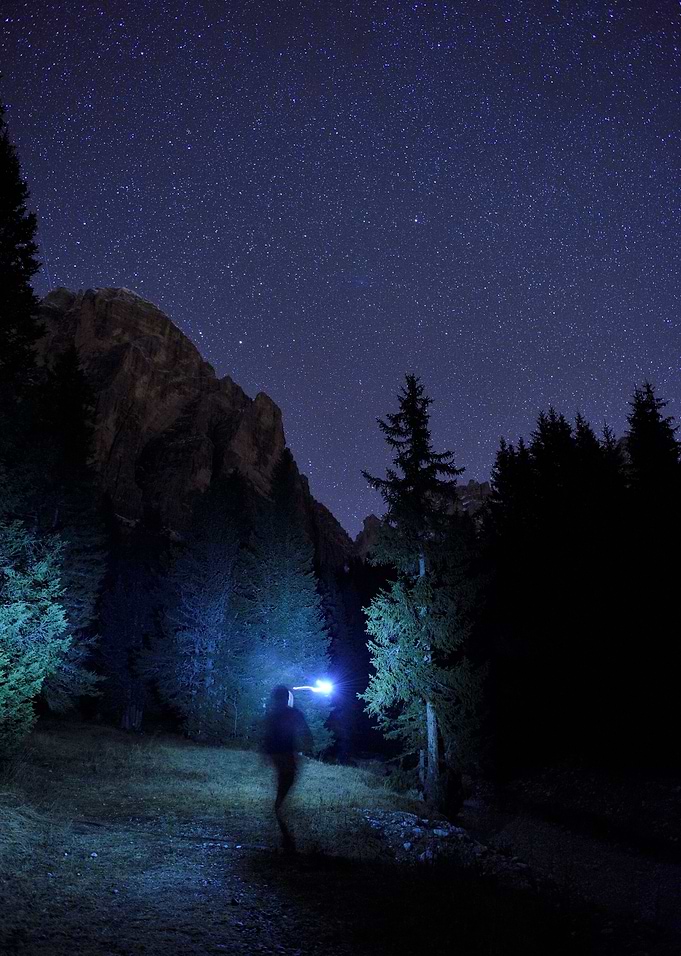 A Trailrunner's Dream