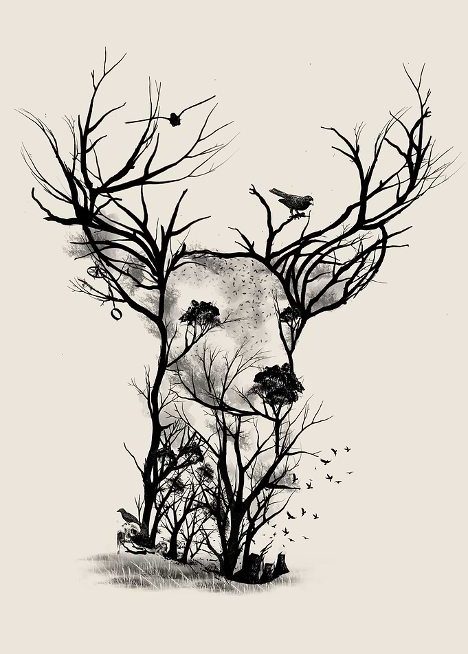 Wild Buck