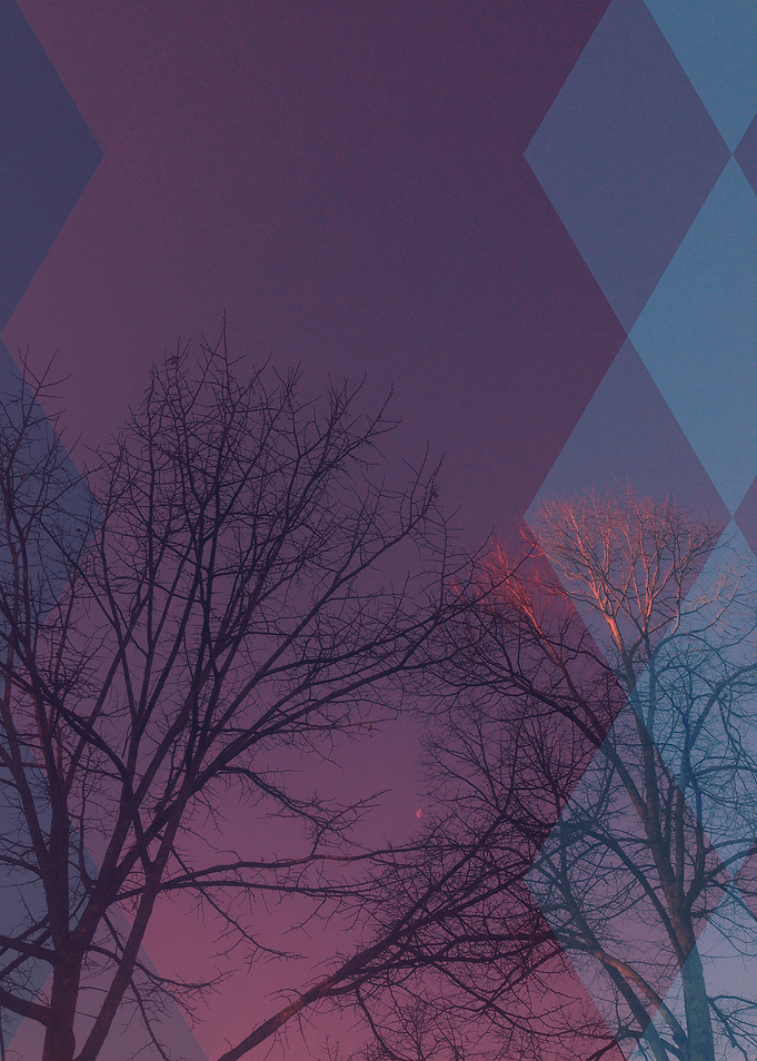 Triangled Trees