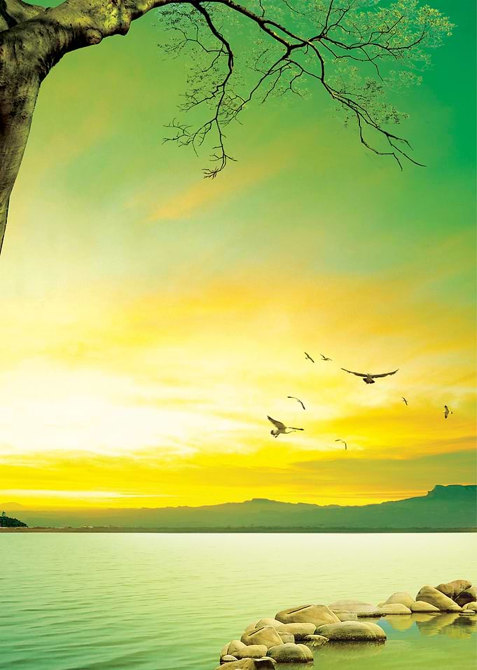 Serenity