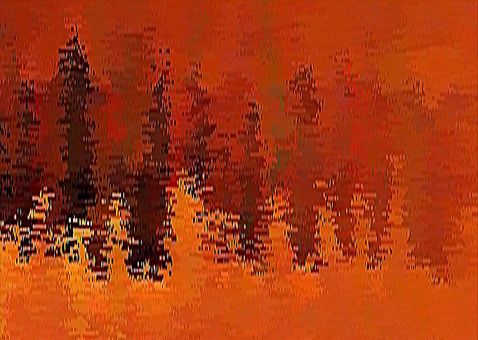 Digital Abstract Forest Fire