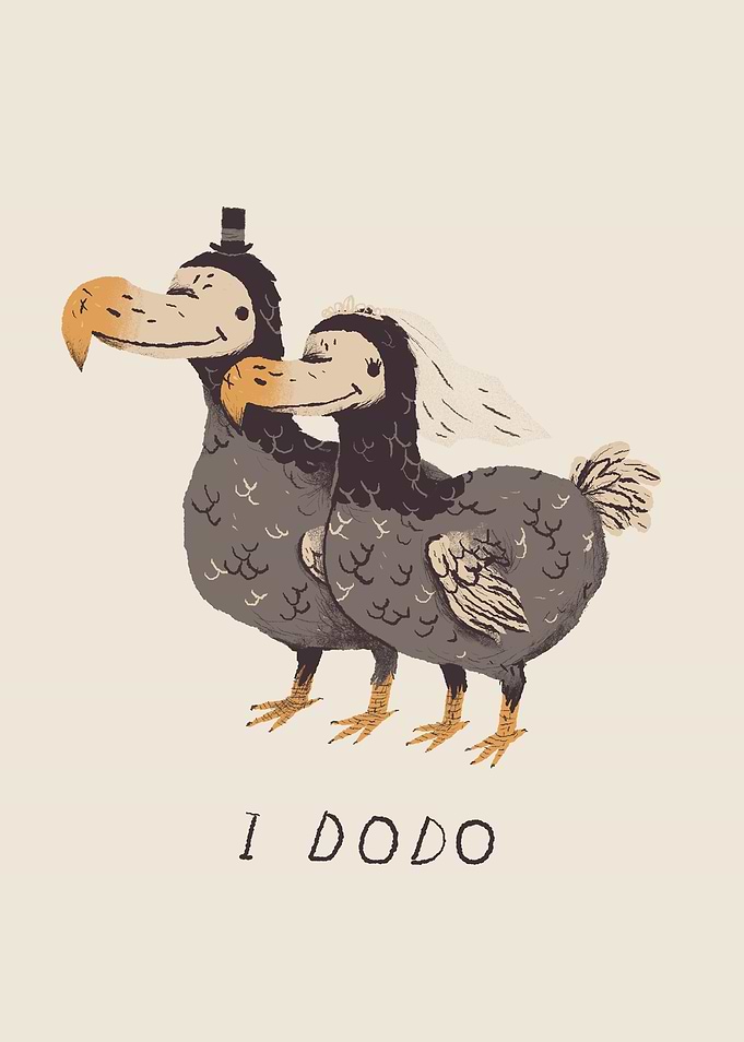 i dodo!