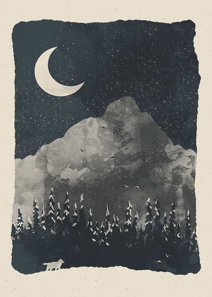 Winter Finds the Wolf...