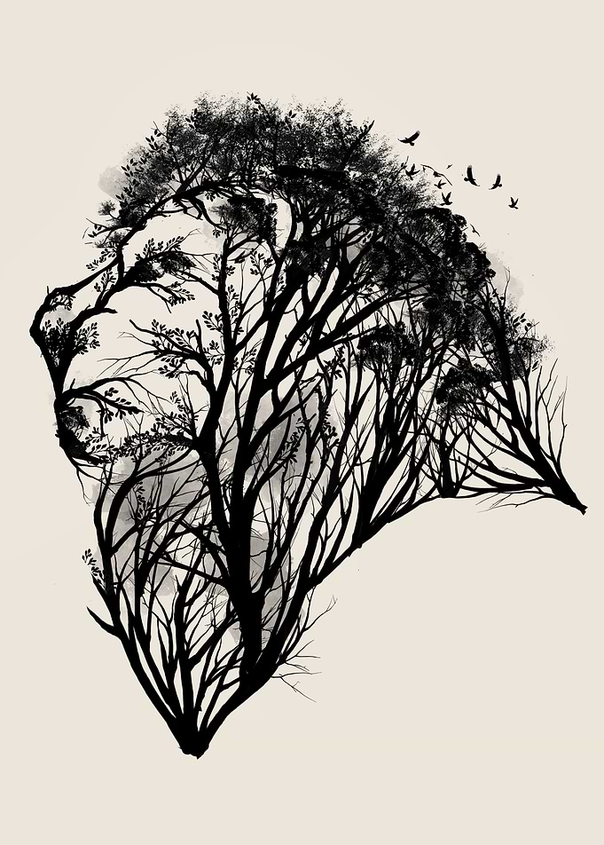 The King
