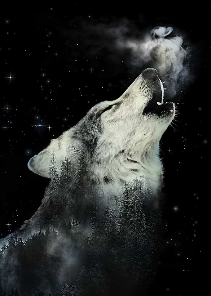 Call of the Wild II
