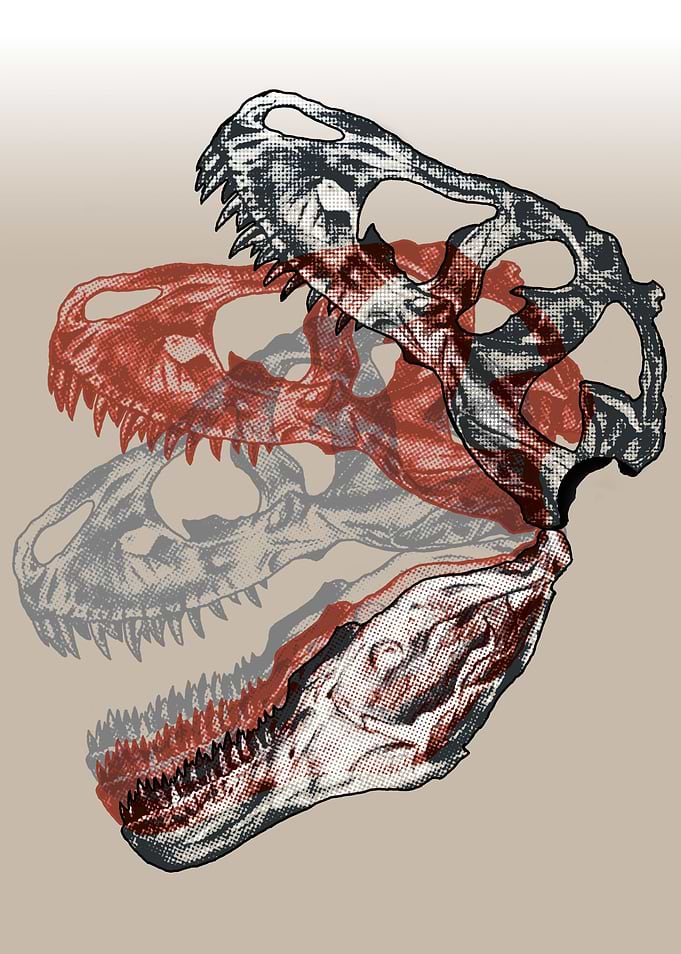 A prehistoric take on a pop-art classic.