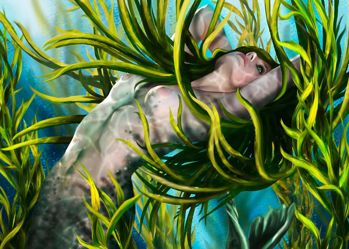 the mermaid