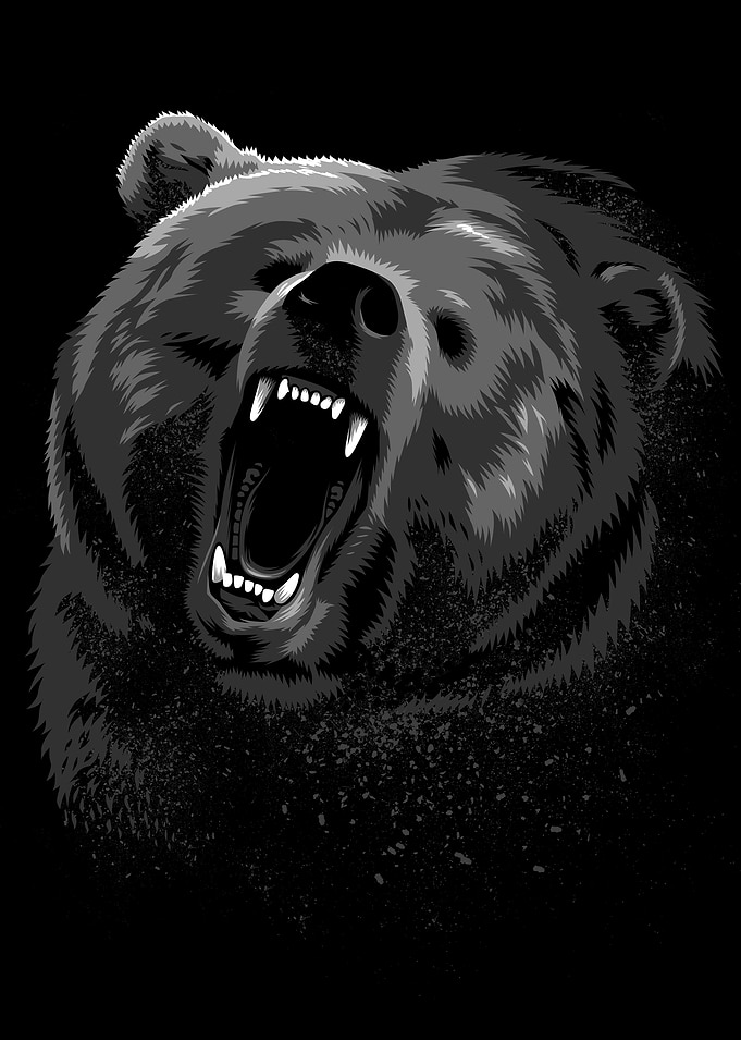 Angry bear