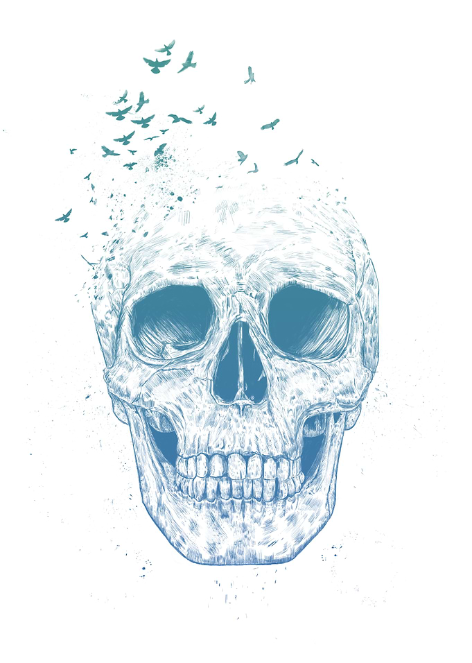 Let them fly II