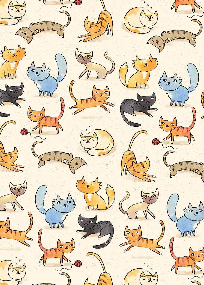 Cats Cats Cats