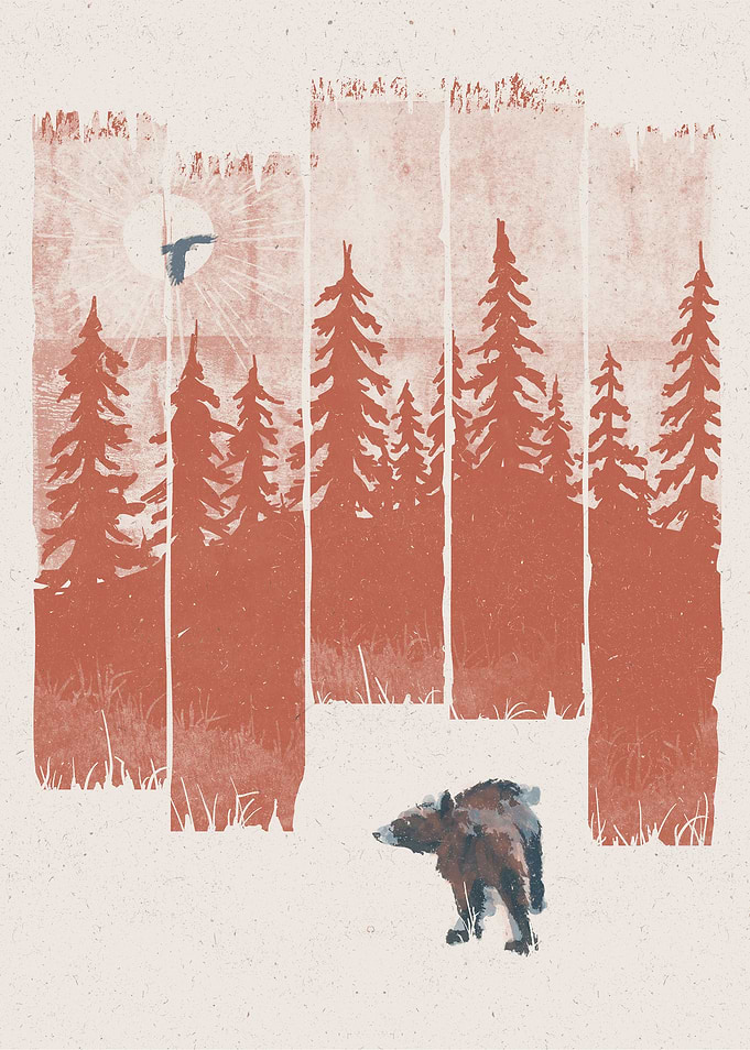 A Bear in the Wild...