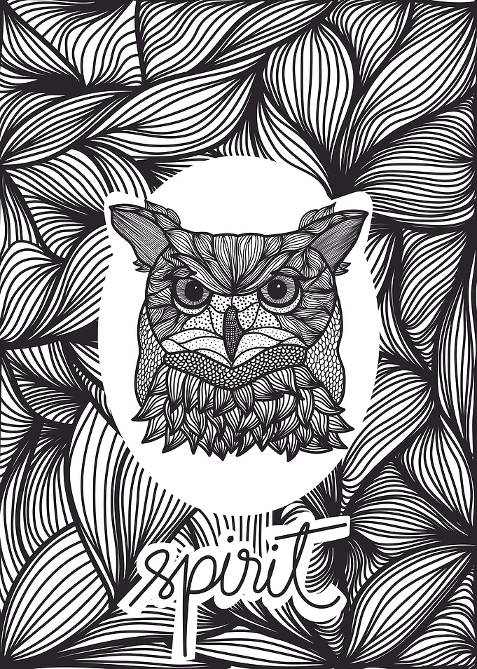 Spirit Animal - Owl