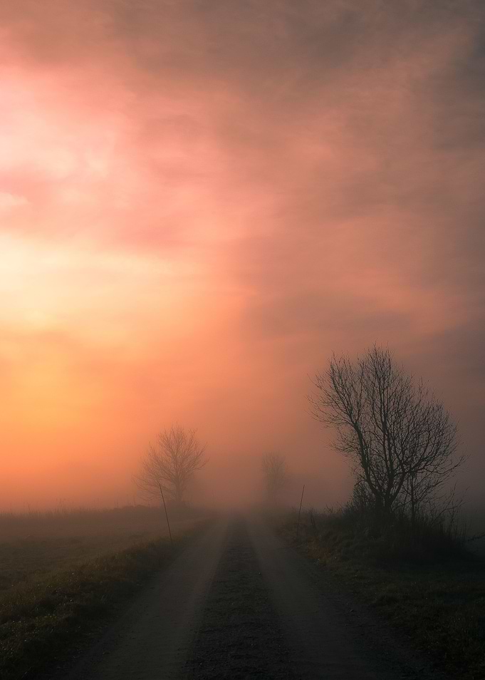 Autumn morning