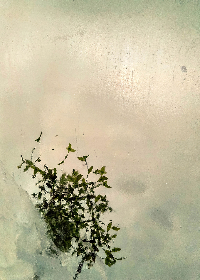 Abstract ice texture