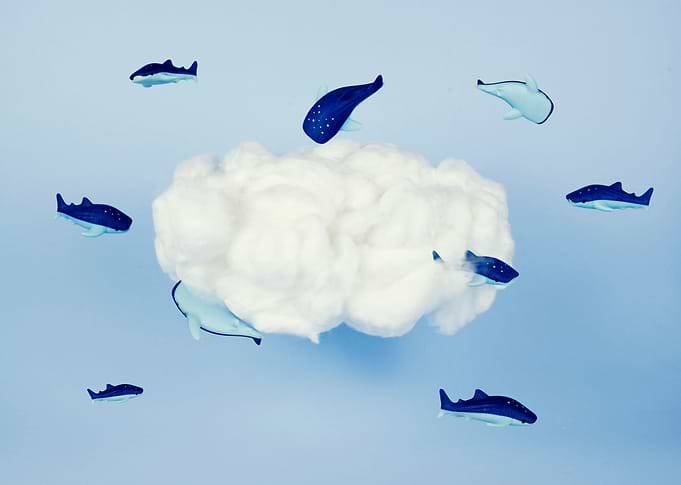 Whales around the cloud. Dreamlike still life of flying ...