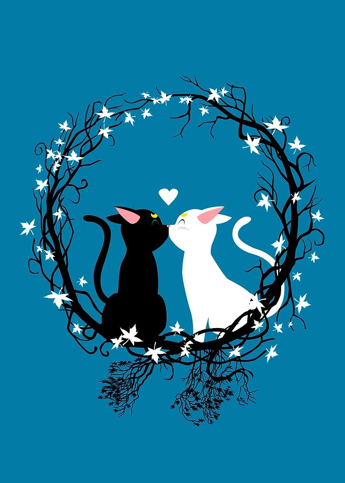 Circle cats
