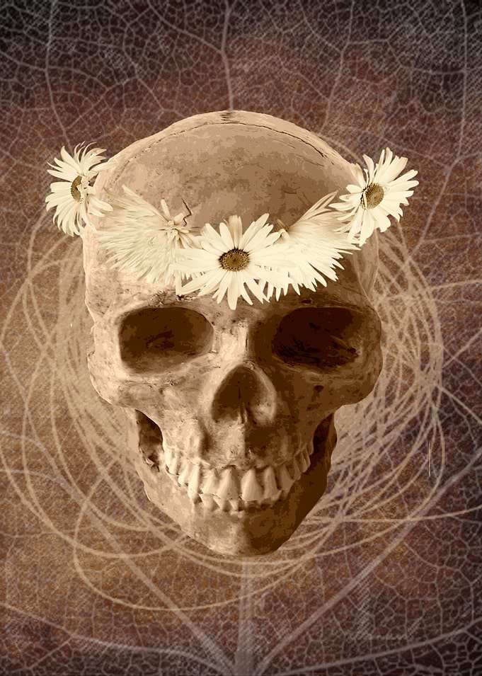Vintage scull