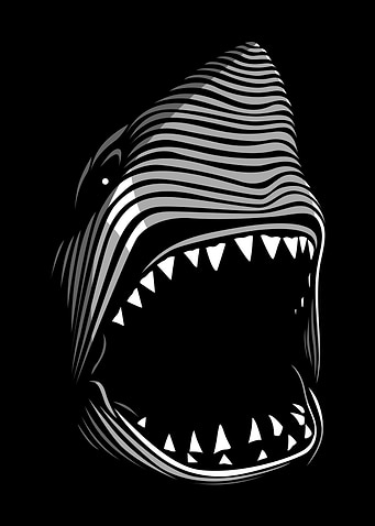 Lines killer shark