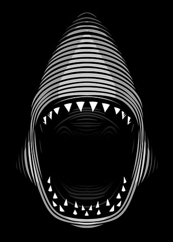 Line shark white