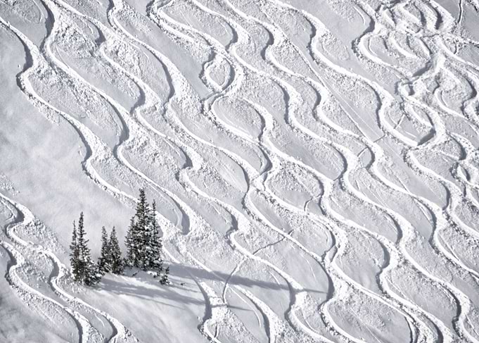 Ski tracks through the powder in the Wasatch Mountains, ...