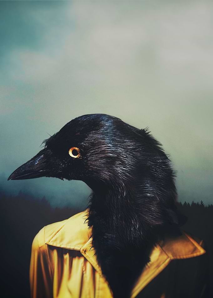 Reincarnate