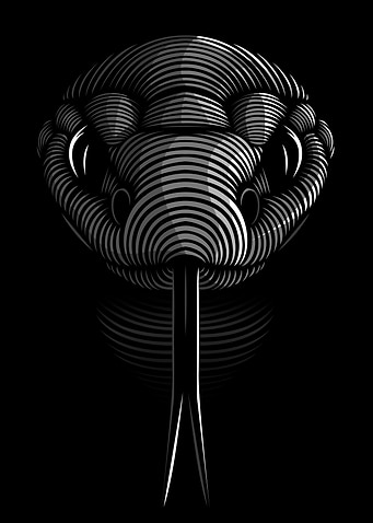 Snake lines