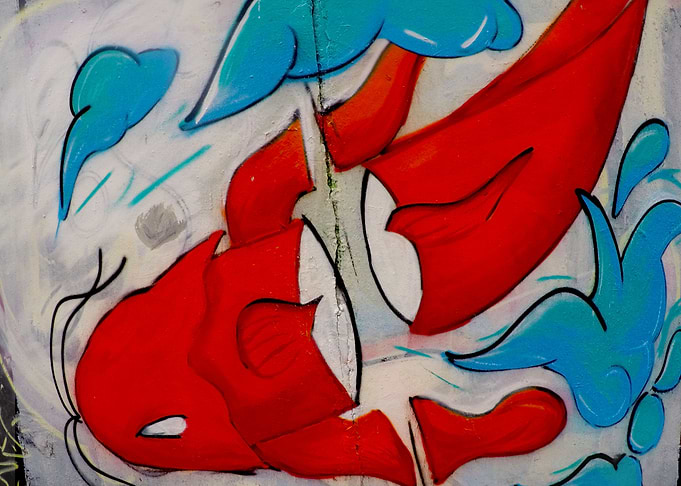 Street Koi