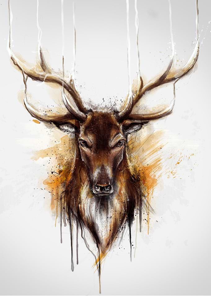 Deer (Alpha series)
