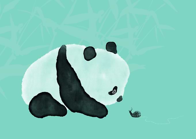 Panda meets Snail