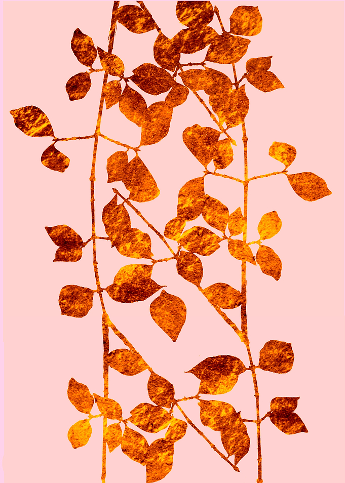 golden leaves on pink background