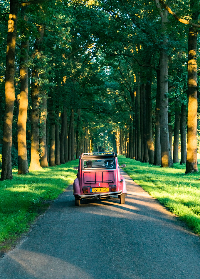 Explore, Be Curious