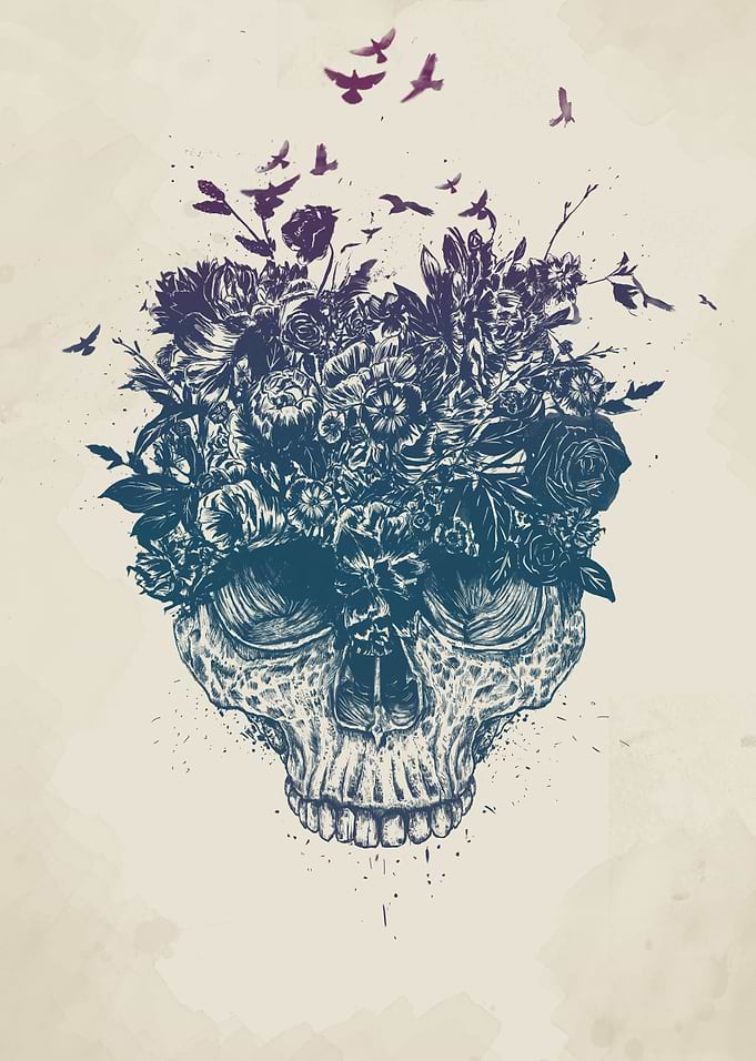 My head is a jungle
