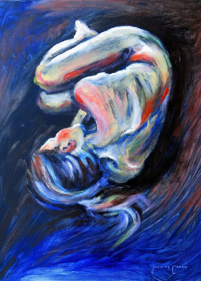 Cocoon