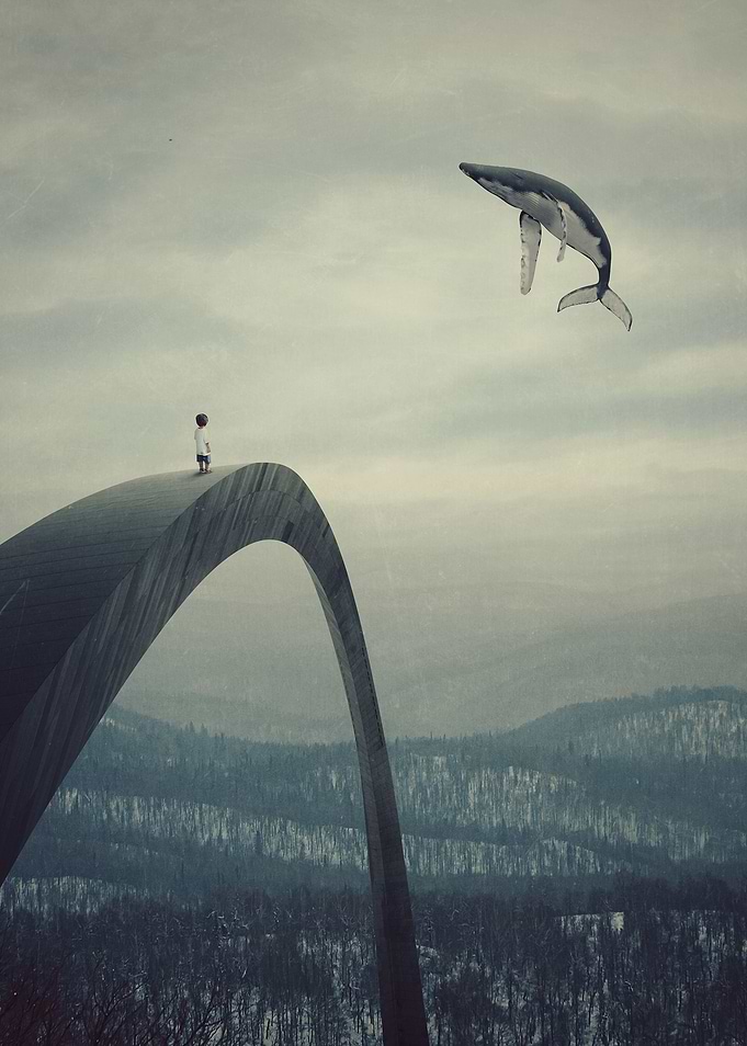 Boy and the flying whale