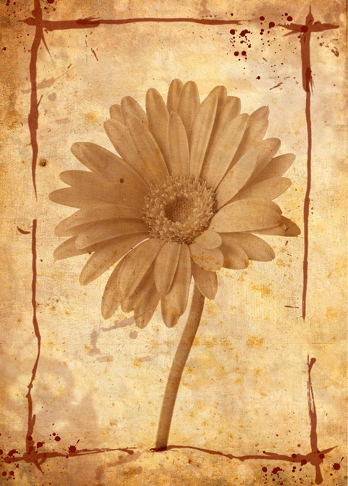 Vintage flower