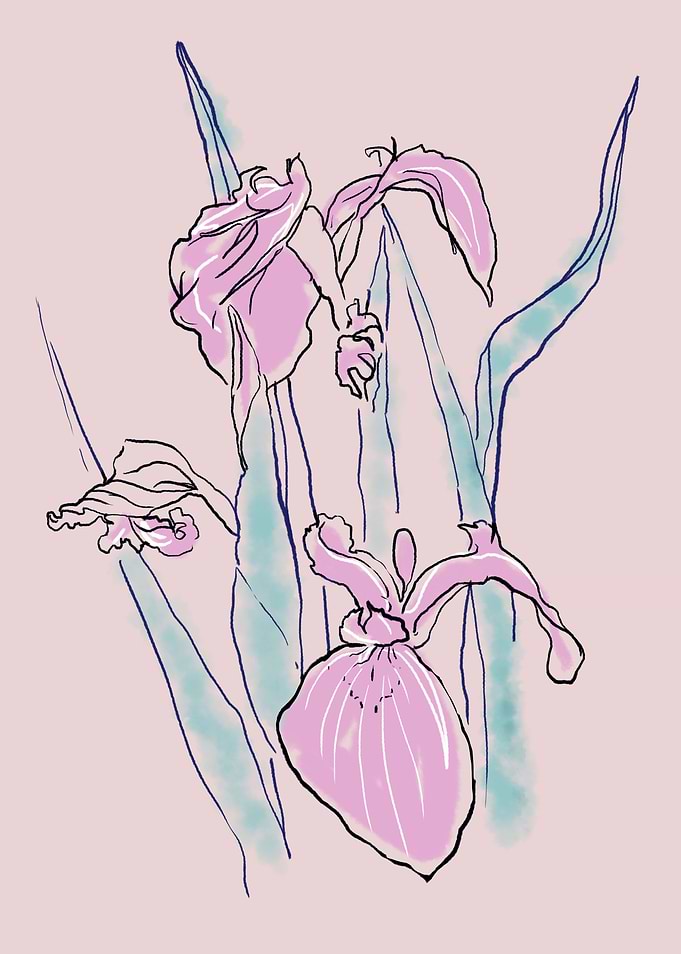 Inkflower 01