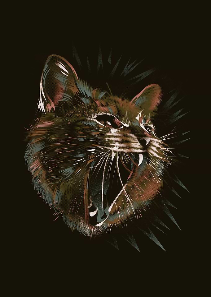 Rock n Roll Cat
