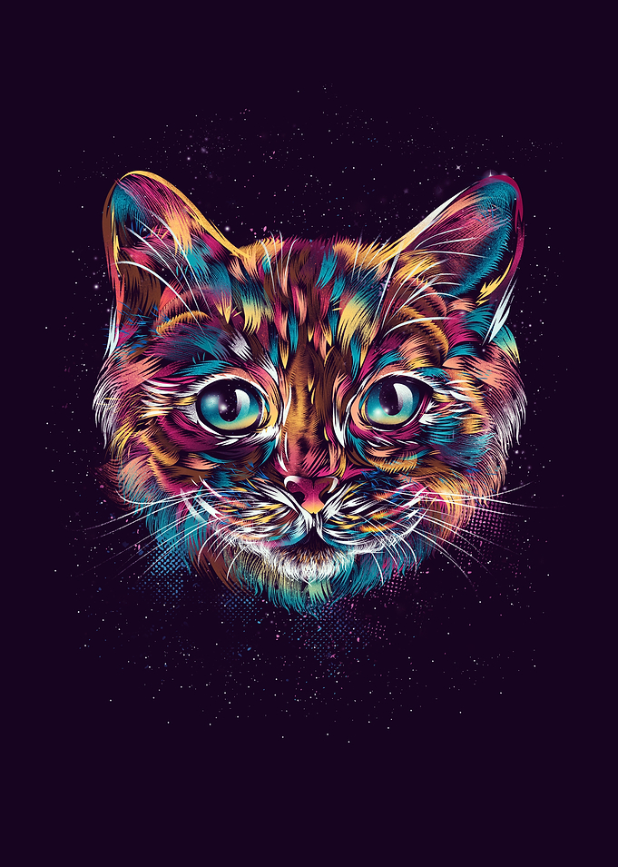Cosmic Cat