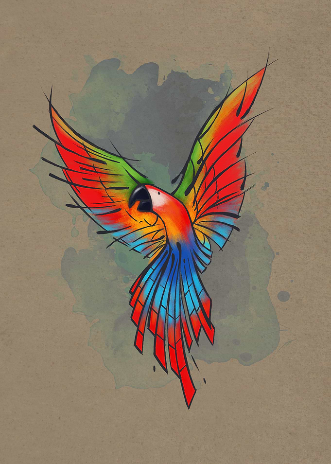 Colors of the Macaw