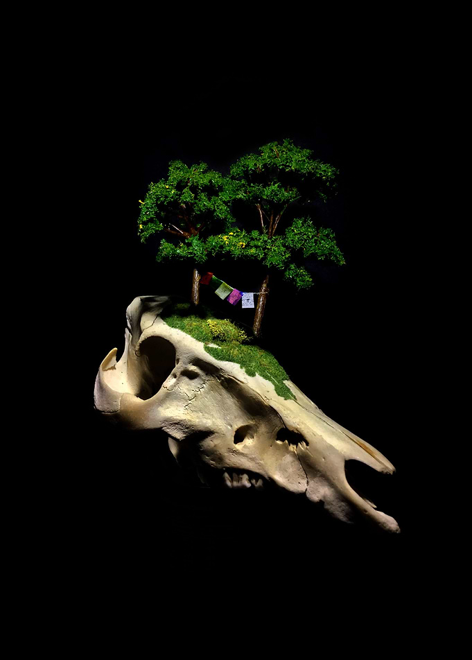 I created these sculptural