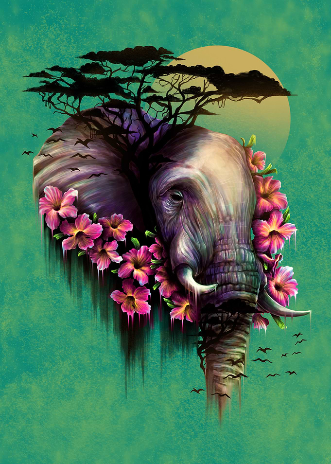 The Wild Bloom