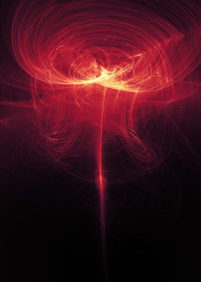 red abstract rose