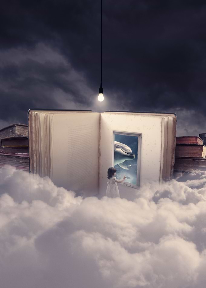 The book of wishes