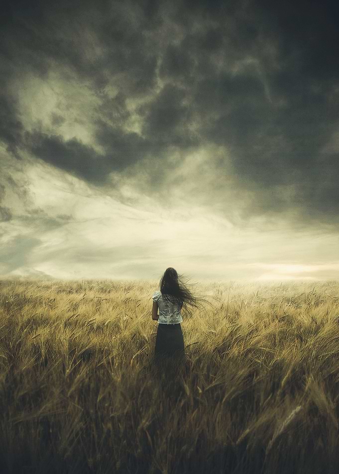 The Premonition