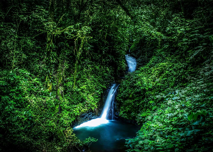 Jungle Waterfall