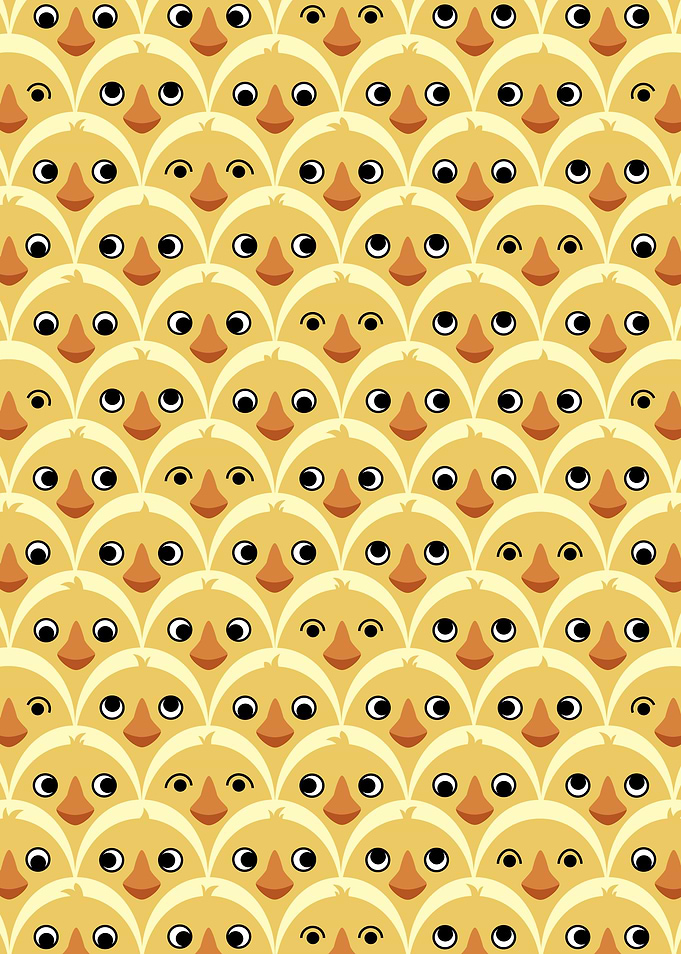 Cute Baby Chickens