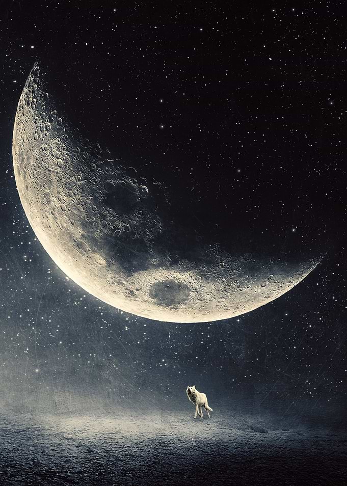 Seeking fulfillment