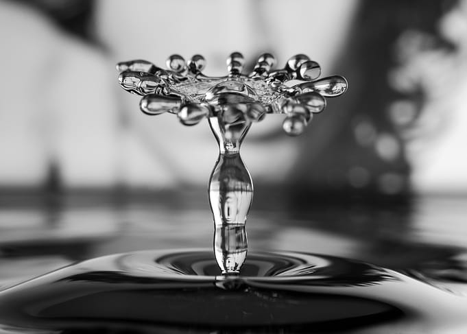 Jim Morisson drop art