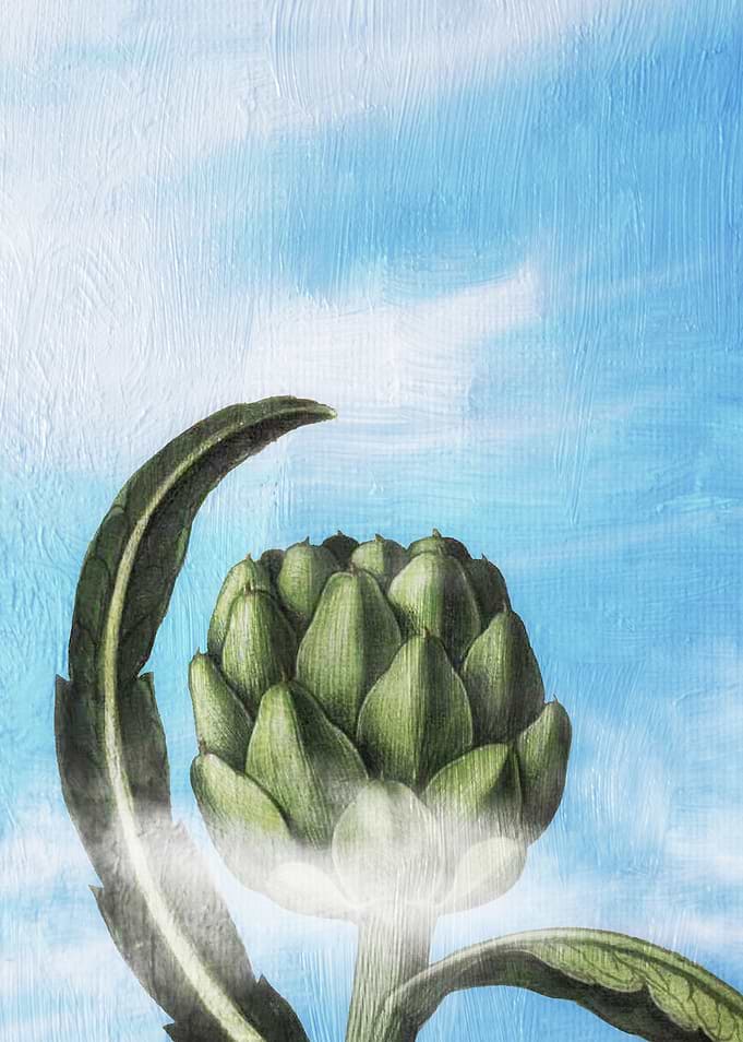 Artichoke Heaven